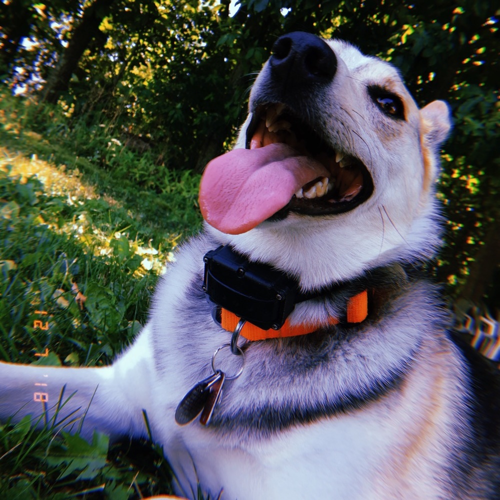 Meet your Posher, Chloe